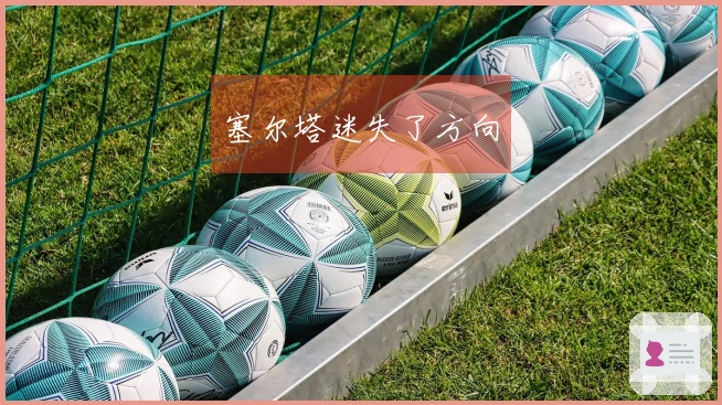塞尔塔迷失了方向