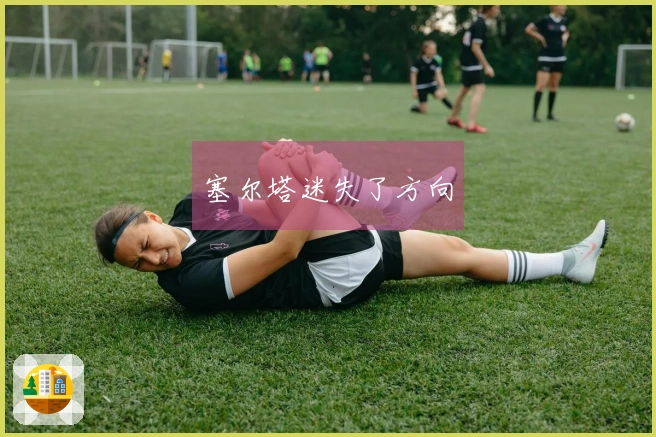 塞尔塔迷失了方向